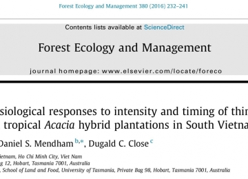 Growth and physiological responses to intensity and timing of thinning in short rotation tropical Acacia hybrid plantations in South Vietnam