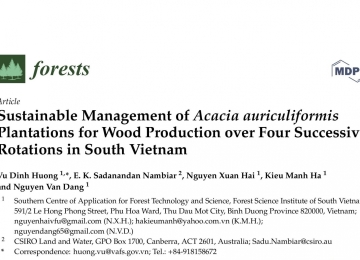 Sustainable Management of Acacia auriculiformis Plantations for Wood Production over Four Successive Rotations in South Vietnam